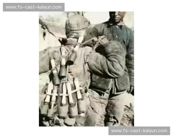 沙佩科的泪水与正义的荣光：一场永不熄灭的悲歌